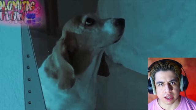 MI PERRA ME HABLA EN LA MADRUGADA... SKINWALKER SABE HABLAR! 😱 🐶 NUNCA LE PREGUNTES ANIMALES terror смотреть онлайн