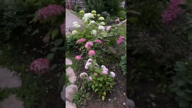 Полезная прогулка: делайте то, что приносит удовольствие смотреть онлайн