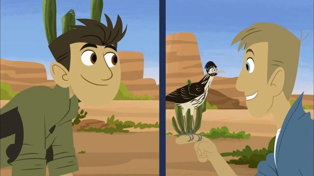 2-16 Братья Кратт - Кукушка-подорожник / Wild Kratts - Roadrunner смотреть онлайн