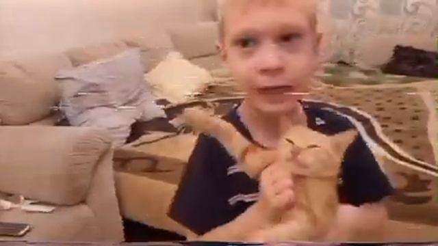 ДЕНЬ С КОШКАМИ 3 ЧАСТЬ смотреть онлайн