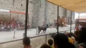 Chris Mano, Tournoi de chevalerie, Carcassonne 2019, cascade, chute latérale
