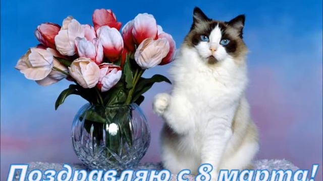 ♥ C 8 марта женщины! Поздравление ♥ TWT смотреть онлайн