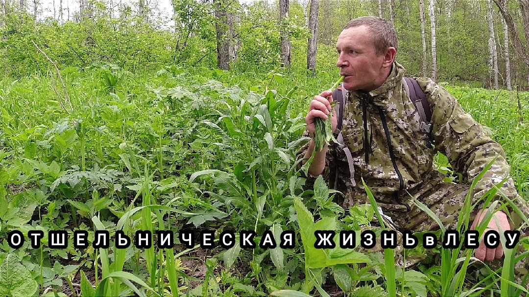 Отшельническая жизнь. Это ещë не конец! смотреть онлайн