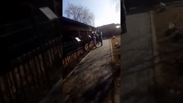 VID 20200202 122835 смотреть онлайн