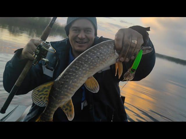 Первая щука на спиннинг май 2022
