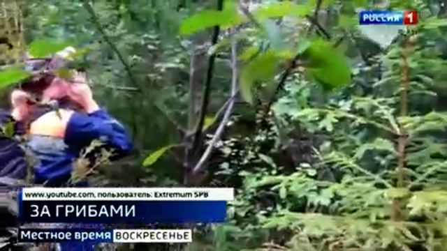Тихая охота в Ленинградской области смотреть онлайн