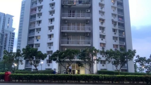 Learning to Skateboard | Oxelo yamba Cruiser ? смотреть онлайн