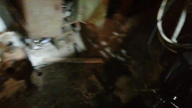 Установка гильз в блок двигателя мтз д240 смотреть онлайн