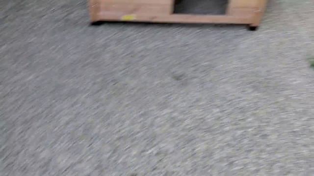 Finnegan Fox steals Ethan's wallet смотреть онлайн