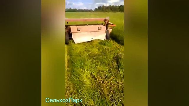 Райграс однолетний - хорошая масса / СЕНО /СОЛОМА / СЕНАЖ смотреть онлайн