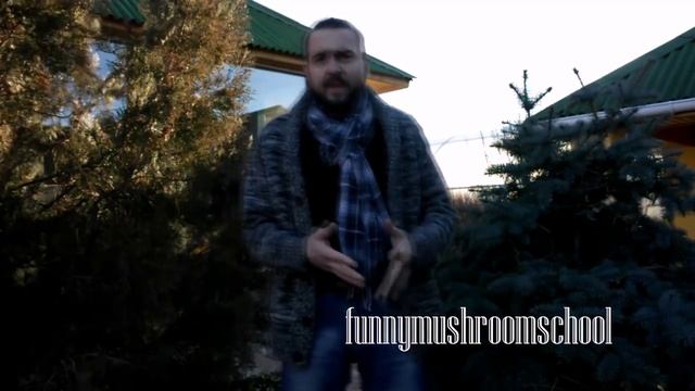 ВЕШЕНКА и посадка ЗИМОЙ, полезные советы смотреть онлайн