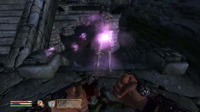Oblivion Hand to Hand Illusionist Build Combat: Undead illusions and alot of punching. смотреть онлайн