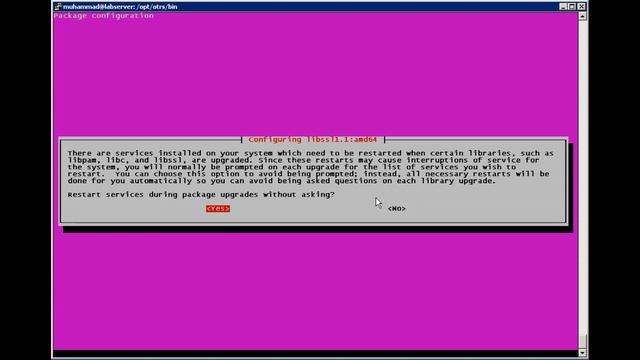 How to Set Up HelpDesk System using OTRS on Ubuntu 18.04 смотреть онлайн