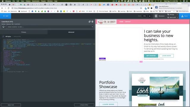 Inserting Code Into Wordpress With Oxygen Builder смотреть онлайн