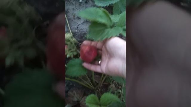07 юня 2019 смотреть онлайн