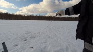 Зимняя блесна своими руками - ТЕСТ.