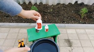 ЧЕМ ПОДКОРМИТЬ ТУИ ПОСЛЕ ПОСАДКИ / WHAT TO FEED TOUI AFTER LANDING