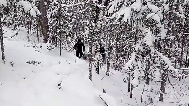 рыбалка на налима смотреть онлайн