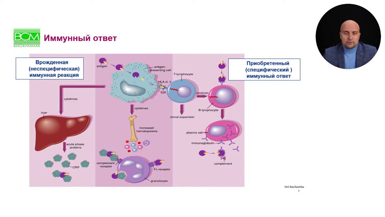 С реактивный белок в дифференциальной диагностике и лечении пациентов с COVID 19