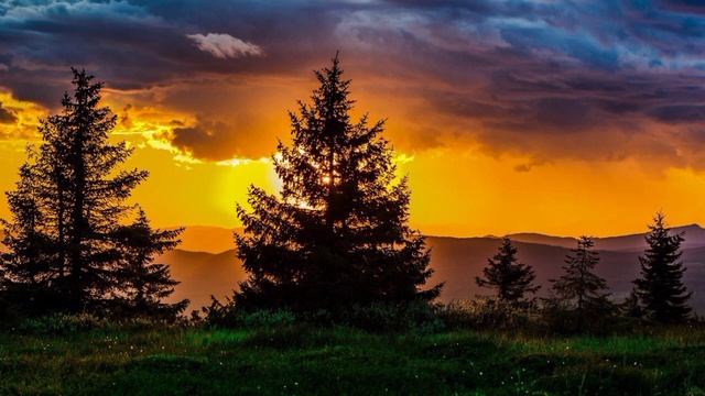 Surya Namaskar - The Sun Salutation | सूर्य नमस्कार मंत्र |A Sun Salutation to Start Your Day| смотреть онлайн