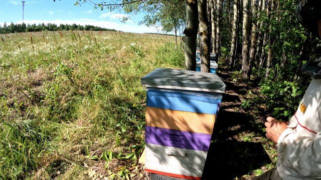 Выездной точок 300 гр за 3 дня смотреть онлайн