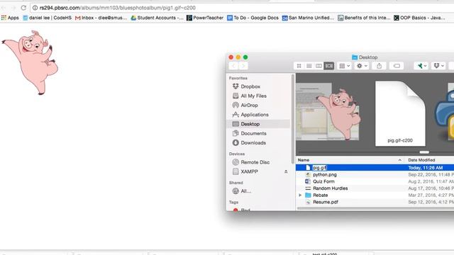 Turtle Adding images смотреть онлайн