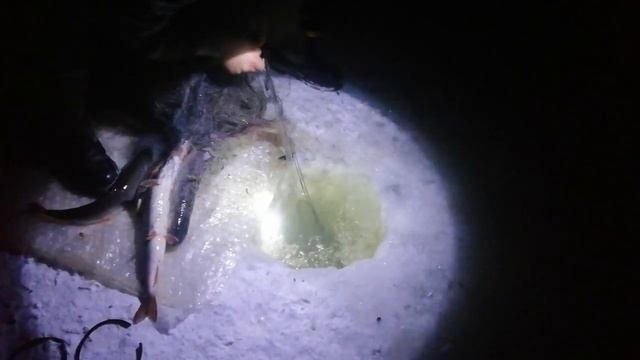 Рыбалка на Сети! Улов за 5 часов! смотреть онлайн