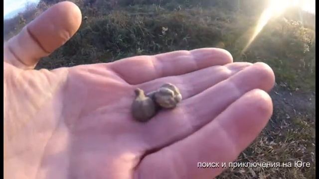 Вот это находки! Пушечное ядро! Знакомство с медведем! смотреть онлайн