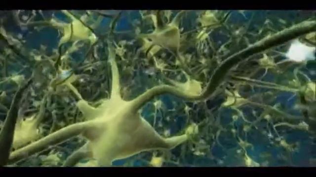 Секрет 2 Сила мысли Что мы об этом знаем Часть 4 смотреть онлайн