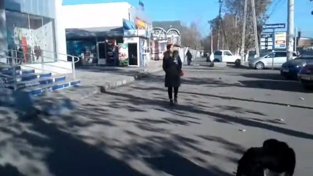 Ха-ха. Оштун иттери танцоршик экен.) смотреть онлайн