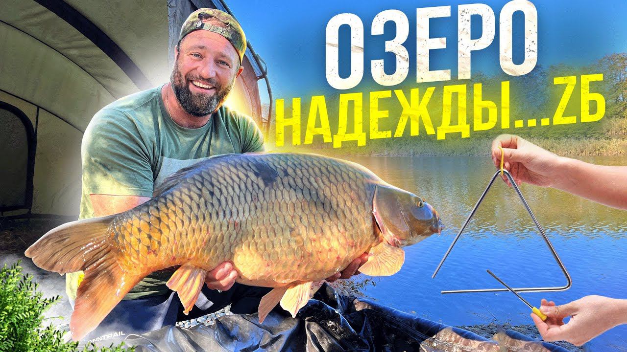 Осенняя ловля карпа на Золотом! Надежда на медийность! ЛииииГа… ZБ! смотреть онлайн