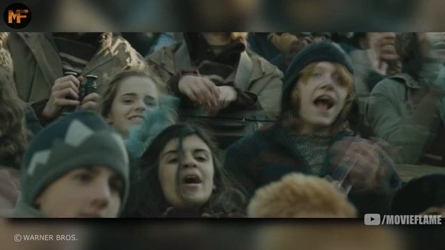 The Entire Life Of Hermione Granger Explained (+Ron/Hermione Relationship)