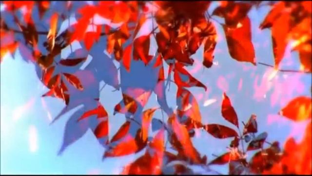 Полад Бюль-бюль оглы - " Дождись меня " смотреть онлайн