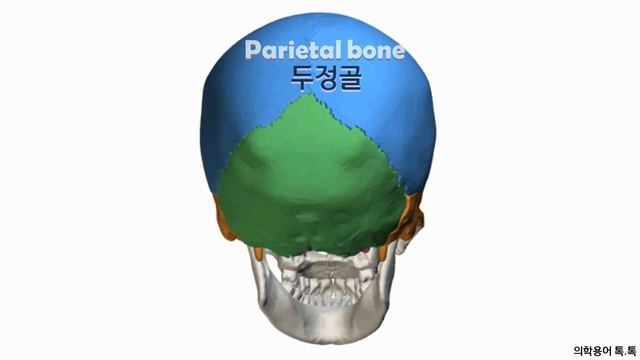 ?의학용어 쉽게 이해하기: 근골격계 기초 해부학 및 생리학? | 의학용어 톡톡 смотреть онлайн