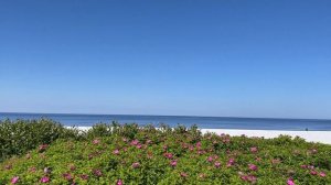 Остров "ЯГРЫ"