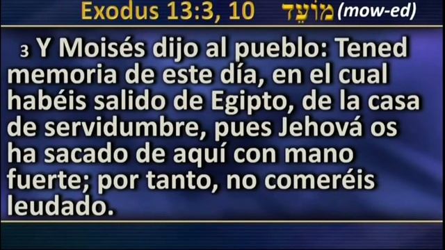 3. Битвы Веры (часть 3) проповедь Линна Брайсона на семинаре Давида Гейца / David Gates смотреть онлайн