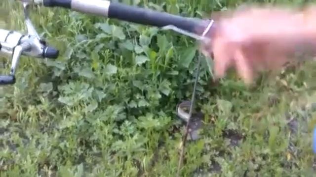 Усовершенствованные сигнализаторы поклевки. Видео №5 смотреть онлайн