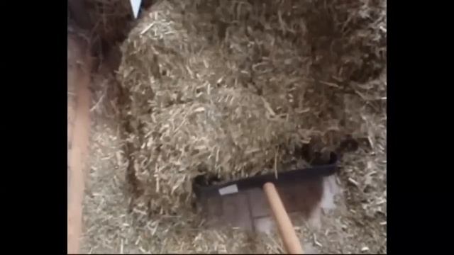 измельчитель соломы,сена,кукурузы для мотоблока смотреть онлайн