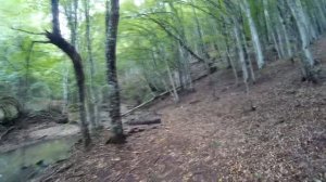 Путешествие на юг на товарных поездах.6часть.Большой Каньон.Ай Петри.Ялта.