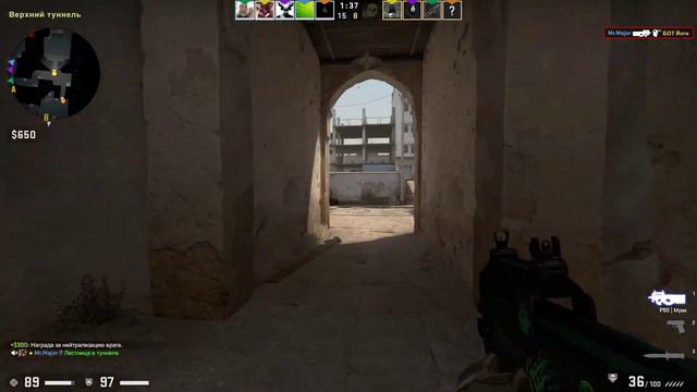 Вечерний стримчик игрыCounter-Strike: Global Offensive . смотреть онлайн