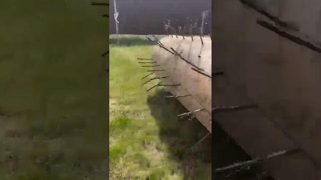 Аэратор для газона своими руками #shorts смотреть онлайн