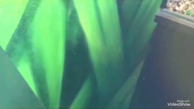 Влог, музей иллюзий! смотреть онлайн