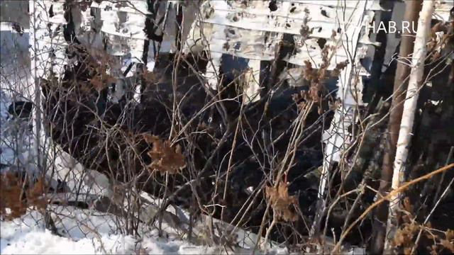 В пригороде дотла сгорел частный дом смотреть онлайн