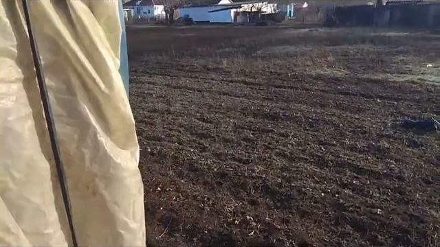 Клубника 2018.Обзор  наших теплиц с клубникой на 03.02.18