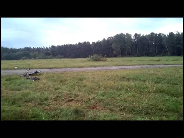 Trex 500 Pro epic half piro autorotation смотреть онлайн