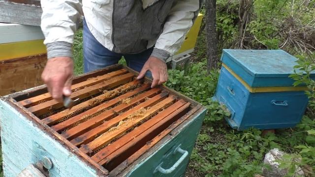 Когда ставить ВОЩИНУ смотреть онлайн