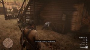 RDR 2 - Proof that Arthur should have been able to visit Armadillo
