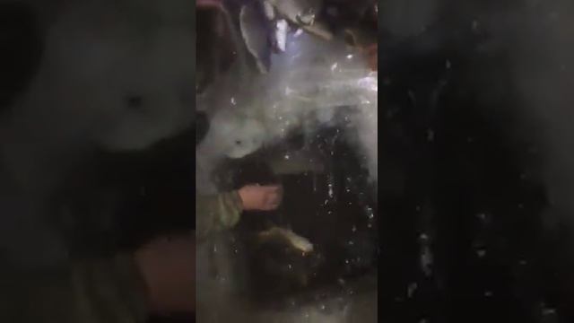 Супер рыбалка смотреть онлайн