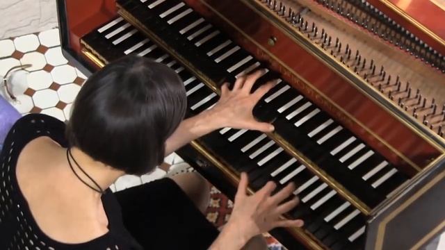 Франц Йозеф Гайдн. Соната №11 ми-минор (E-moll), часть 1 "Presto", №34. Клавесин - Elaine Comparone. смотреть онлайн