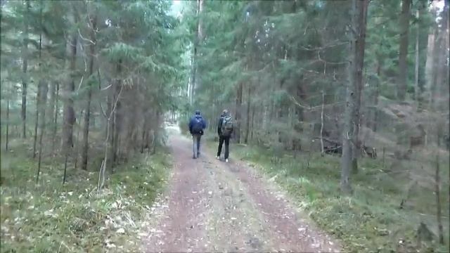 Поход в Дремучий Лес смотреть онлайн